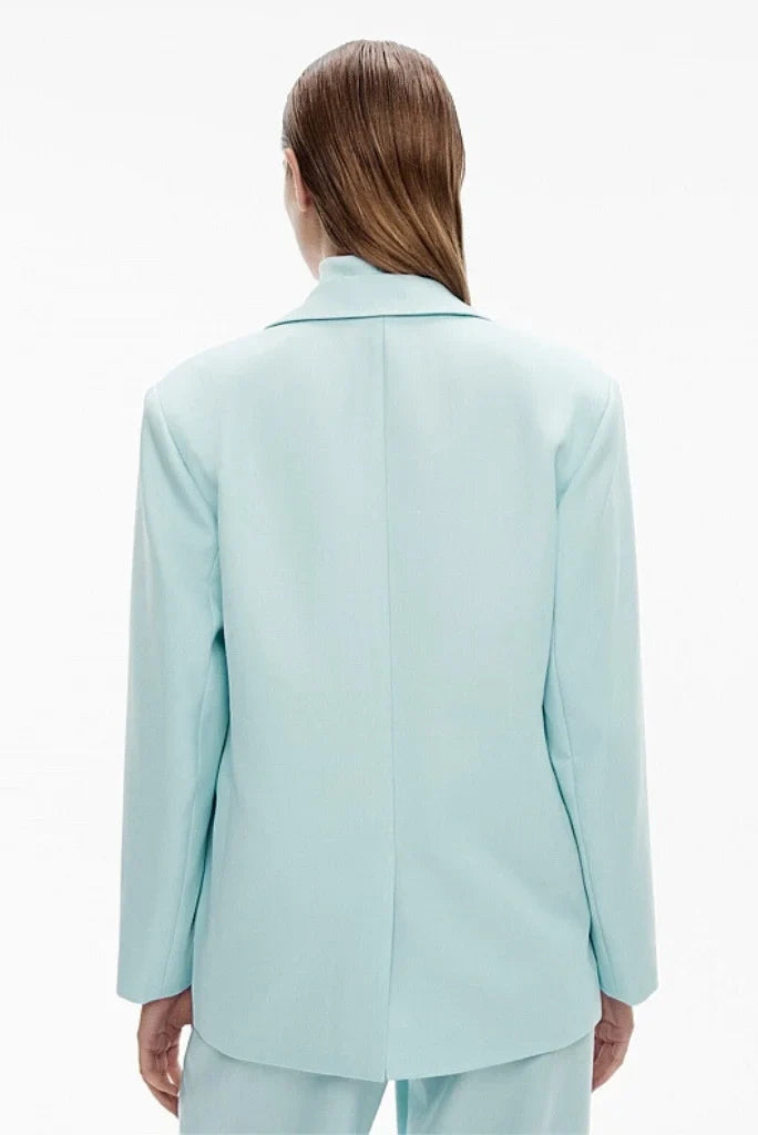 Women's Powder Blue Single Breasted 2 Piece Suit, Formal Suit for Office and Meetings