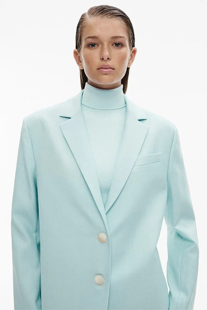 Women's Powder Blue Single Breasted 2 Piece Suit, Formal Suit for Office and Meetings