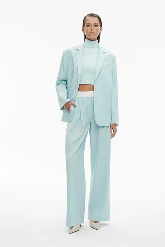 Women's Powder Blue Single Breasted 2 Piece Suit, Formal Suit for Office and Meetings
